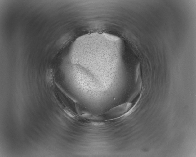 X0000056370144200509091658