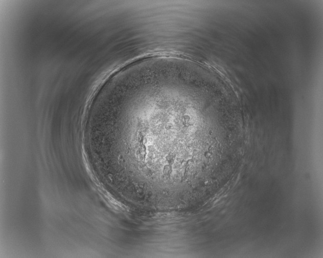 X0000056370145200509091658