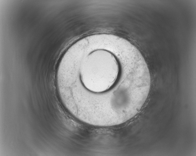 X0000056370146200509091658