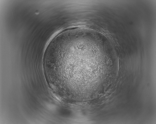 X0000056370147200509091658