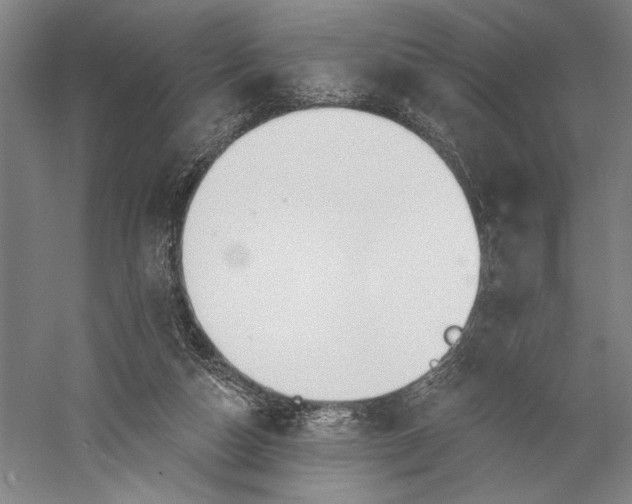 X0000056370162200509091658