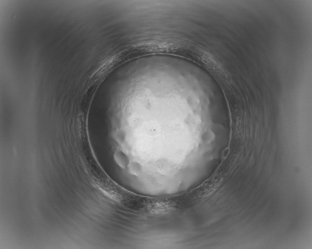 X0000056370165200509091658