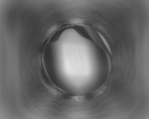 X0000056370168200509091658