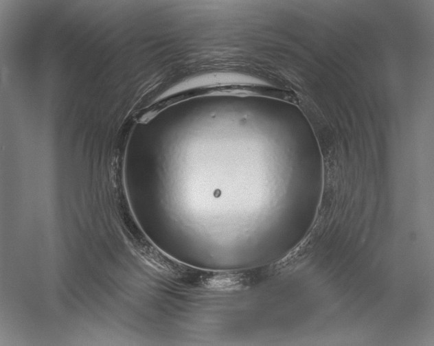 X0000056370171200509091658