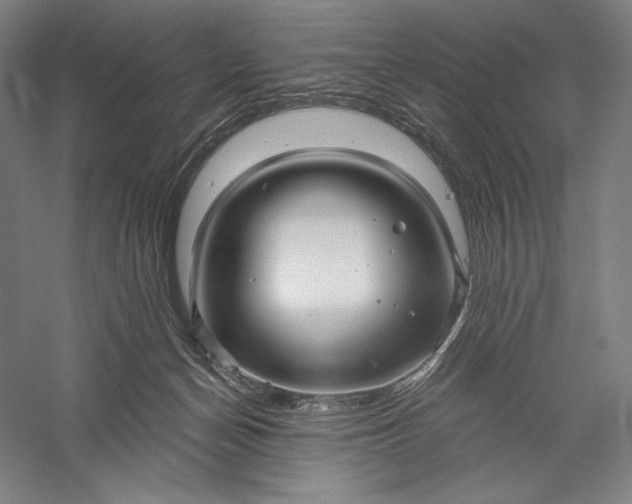 X0000056370174200509091658