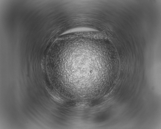 X0000056370175200509091658