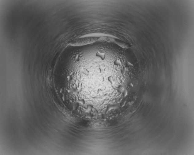 X0000056370181200509091658