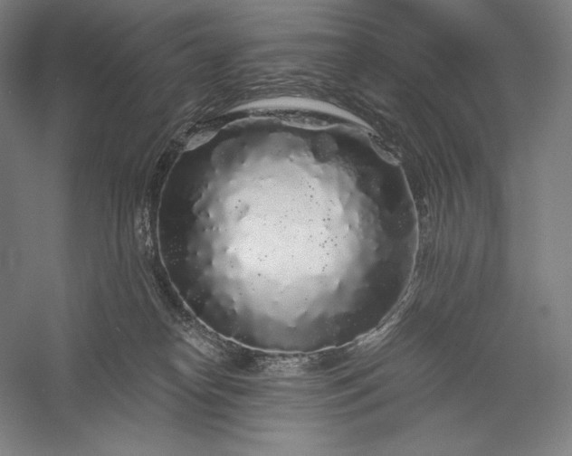 X0000056370182200509091658