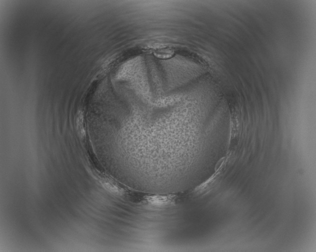 X0000056370187200509091658