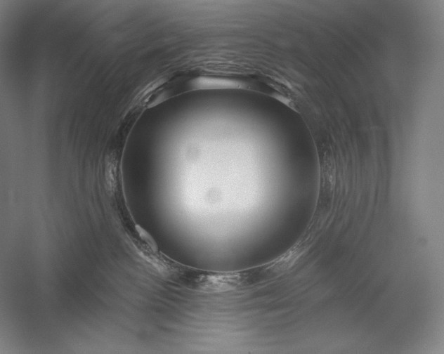 X0000056370188200509091658