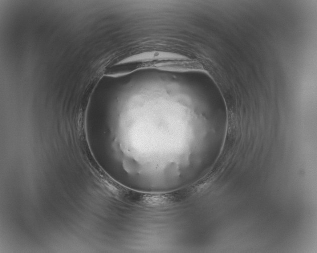 X0000056370189200509091658