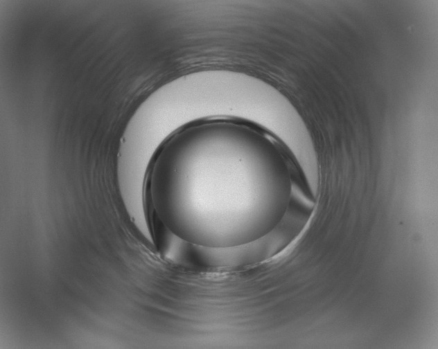 X0000056370190200509091658