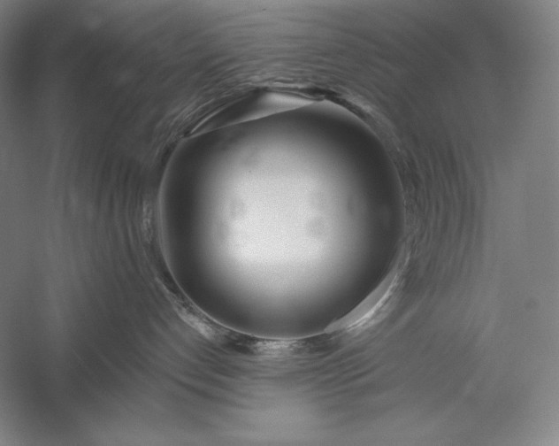 X0000056370192200509091658