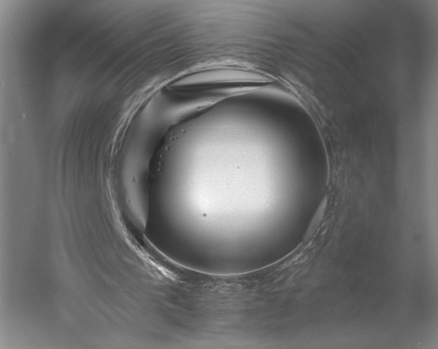 X0000056370193200509091658