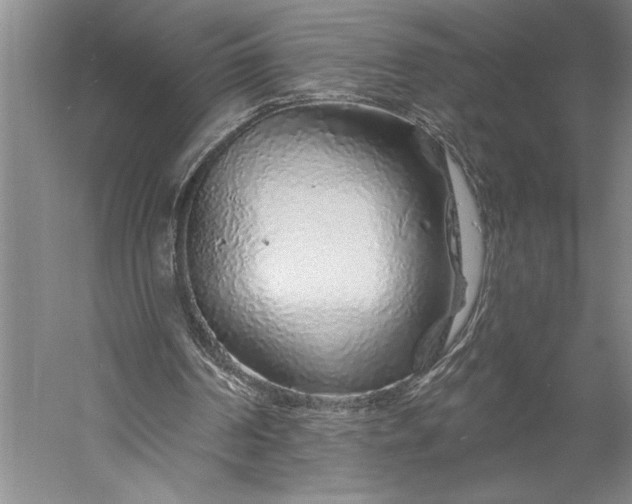 X0000056370194200509091658