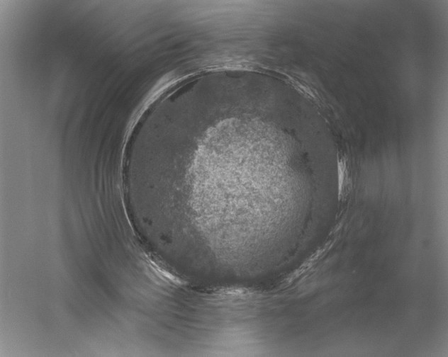 X0000056370195200509091658