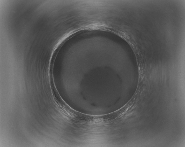 X0000056370196200509091658