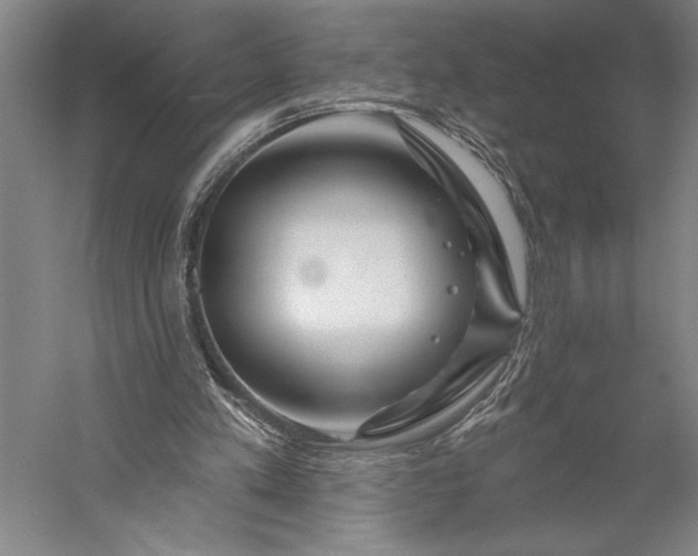 X0000056370197200509091658