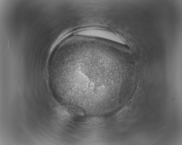 X0000056370198200509091658