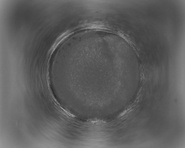 X0000056370199200509091658