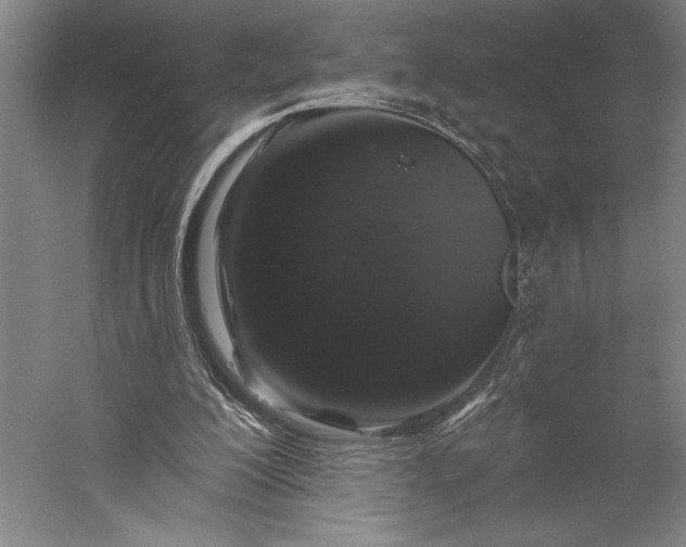 X0000056370200200509091658