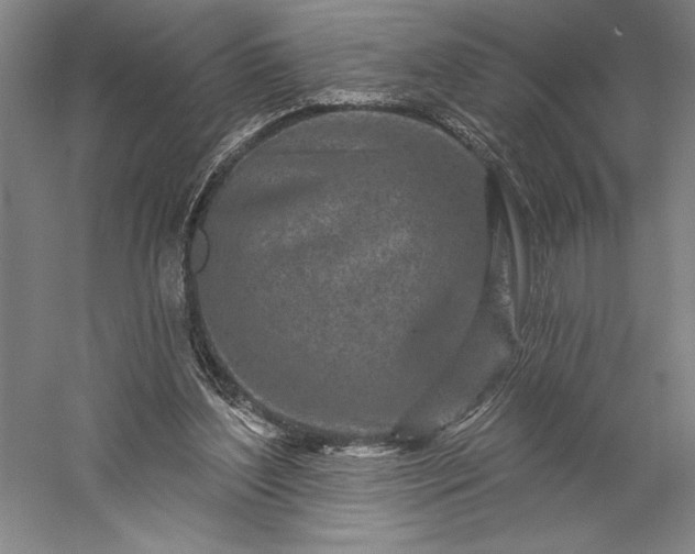 X0000056370204200509091657