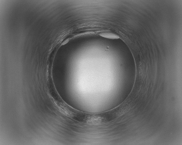 X0000056370206200509091657