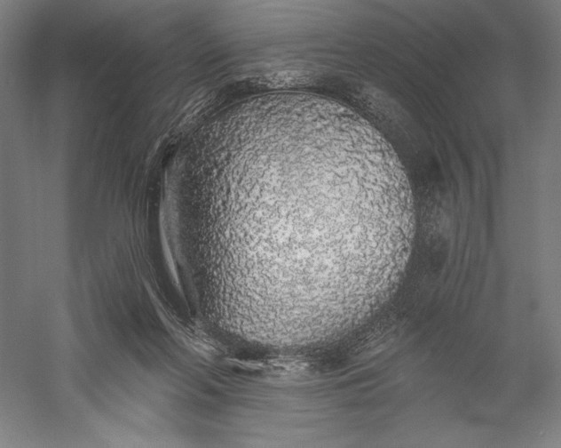 X0000056370214200509091657