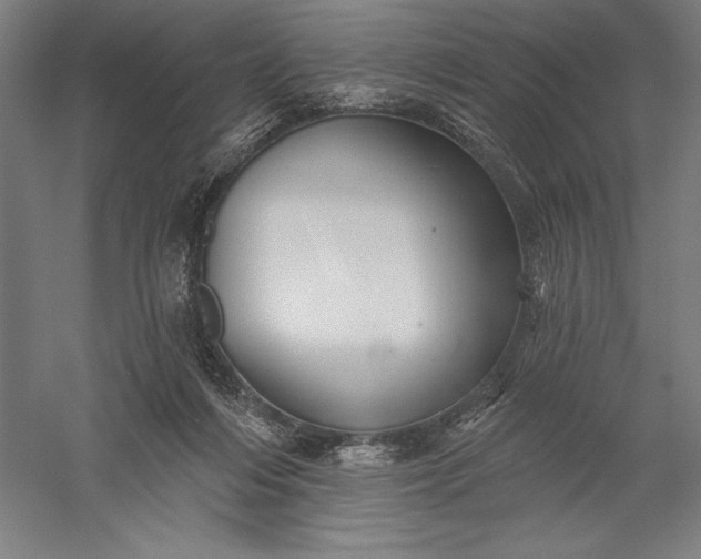 X0000056370216200509091657