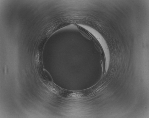 X0000056370219200509091657