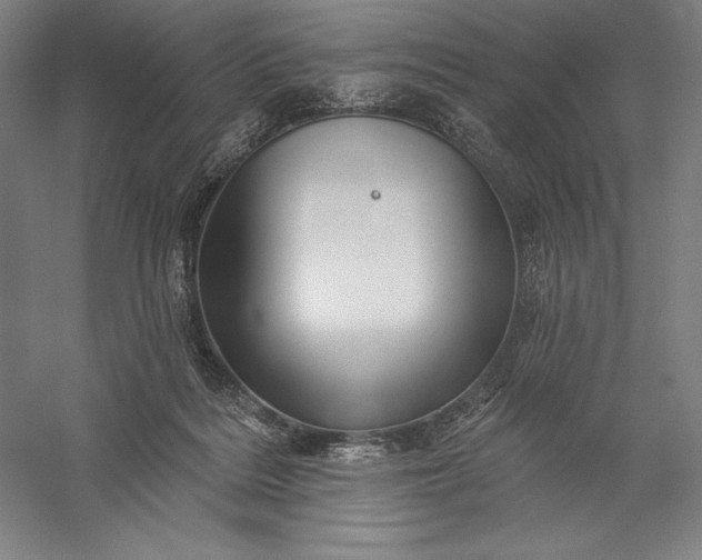 X0000056370220200509091657