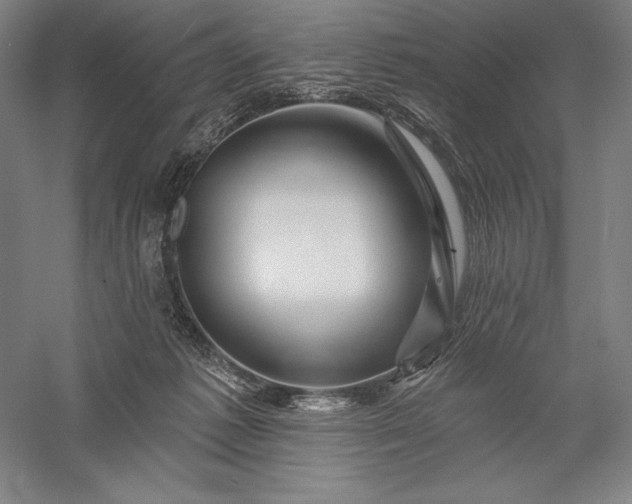 X0000056370221200509091657