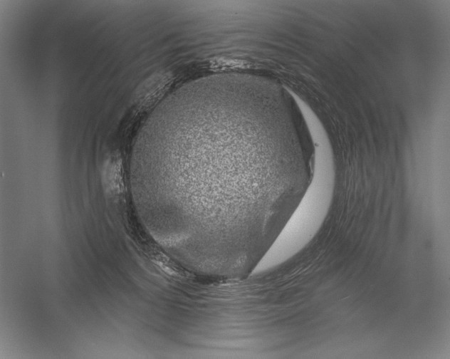 X0000056370224200509091657