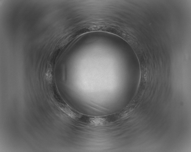 X0000056370226200509091657