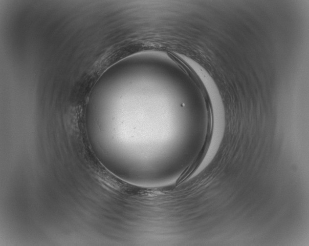 X0000056370229200509091657