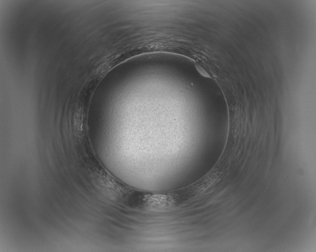 X0000056370230200509091657