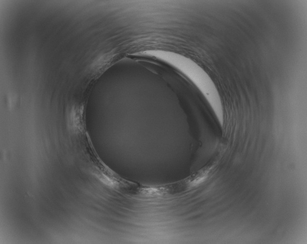 X0000056370239200509091657