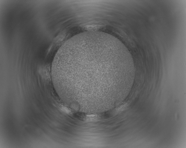 X0000056370240200509091657