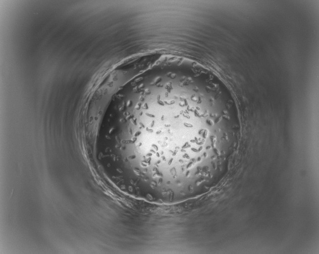 X0000056370241200509091656