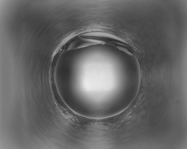 X0000056370244200509091656