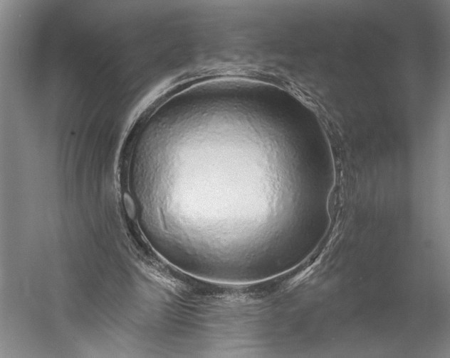 X0000056370246200509091656