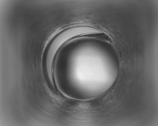 X0000056370248200509091656