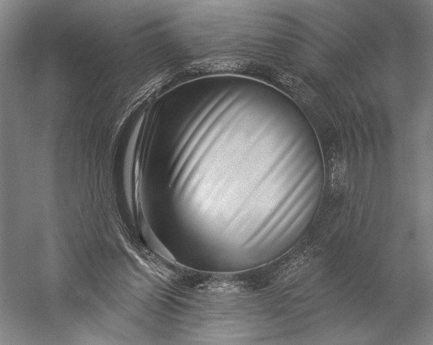 X0000056370254200509091656