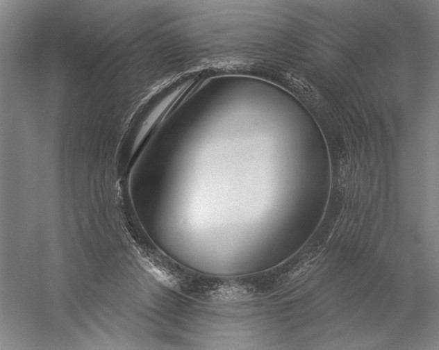 X0000056370256200509091656