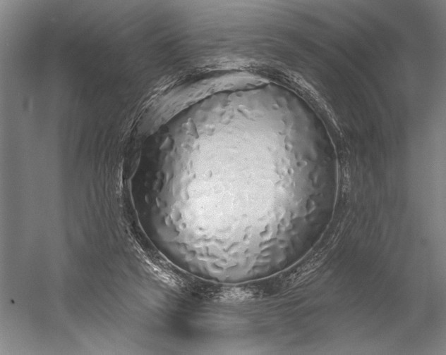 X0000056370257200509091656