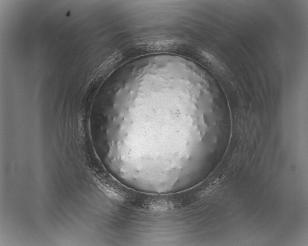 X0000056370258200509091656