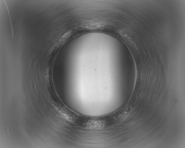 X0000056370260200509091656