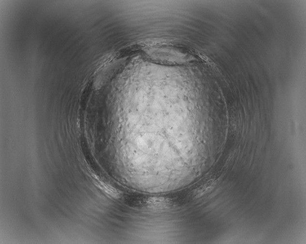 X0000056370261200509091656