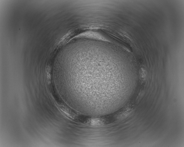 X0000056370264200509091656