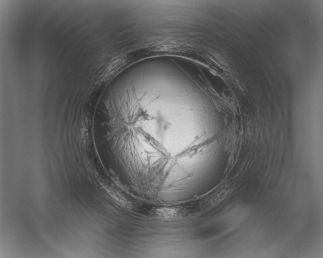 X0000056370265200509091656